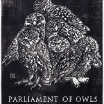 Paula-Koz-Parliament-of-Owls